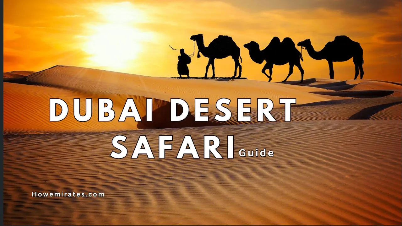 Dubai Desert Safari