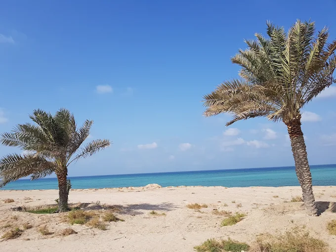 Dalma Beach