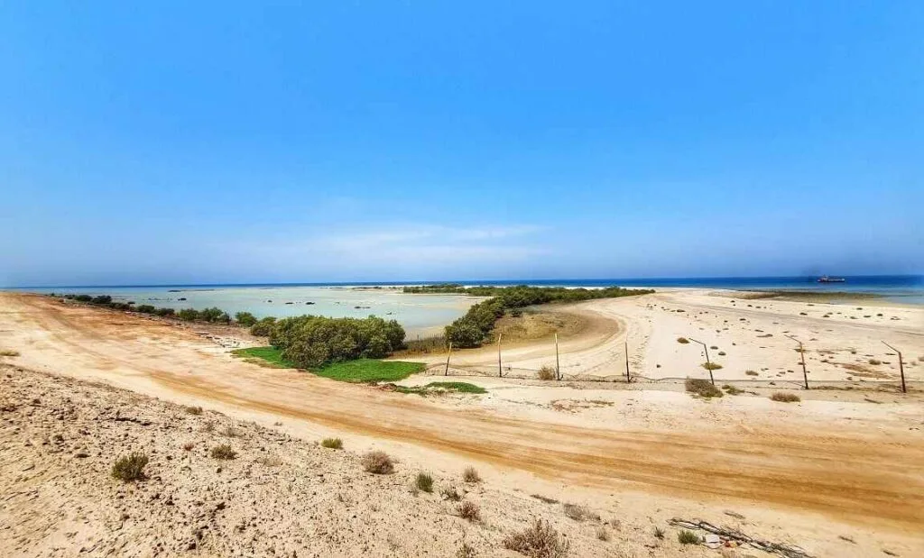 Dalma Island Abu Dhabi