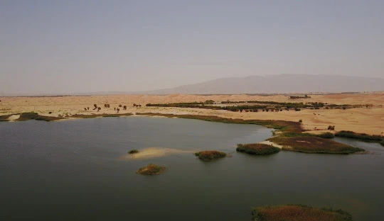 History of Zakher Lake